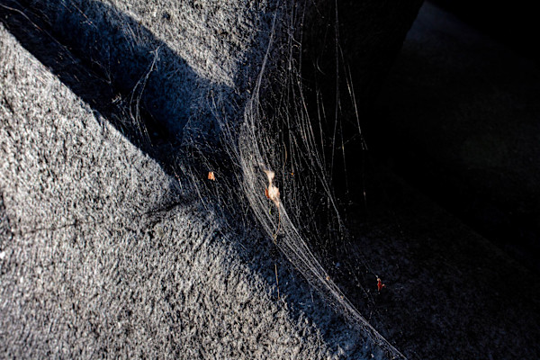 Untitled by Jonas, Image 1.