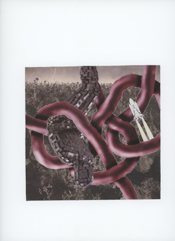 NEEDS A TITLE 2 / purple rope by Derrick Rogers
