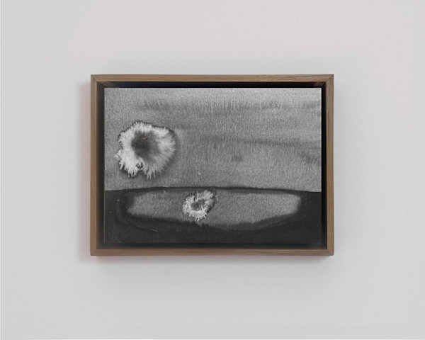 Narcissus by Adam Geluda Gildar