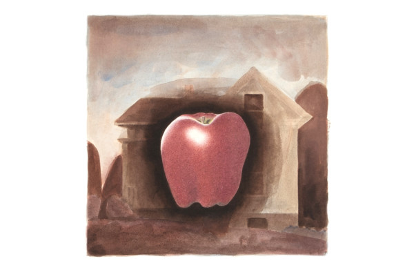 One Apple by Kevin MacDonald, estate