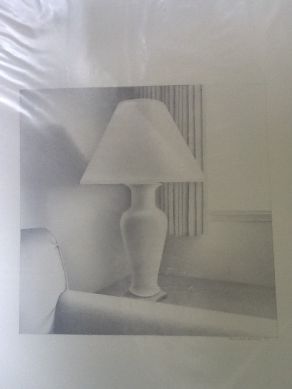 Lamp America series by Kevin MacDonald, estate