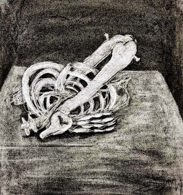 Pile of Bones by Sam Borden