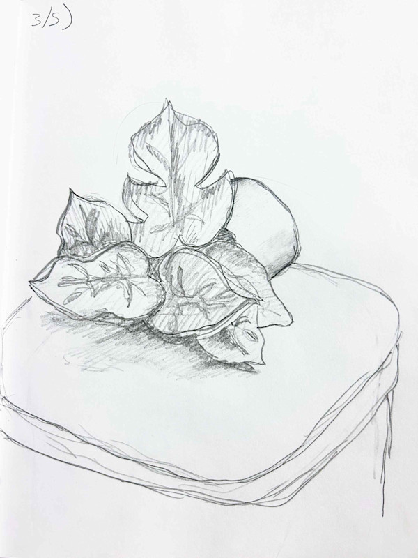 Plant Study 3/5 by Sam Borden