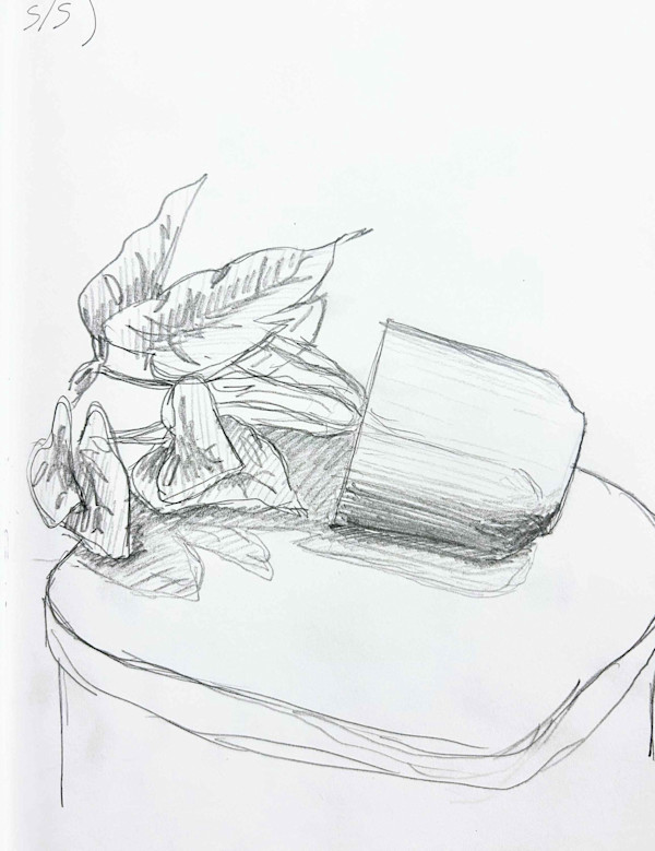 Plant Study 5/5 by Sam Borden