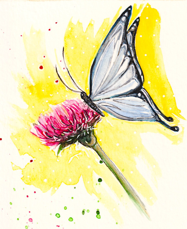 Butterfly and the Thistle by Tonya Schorre