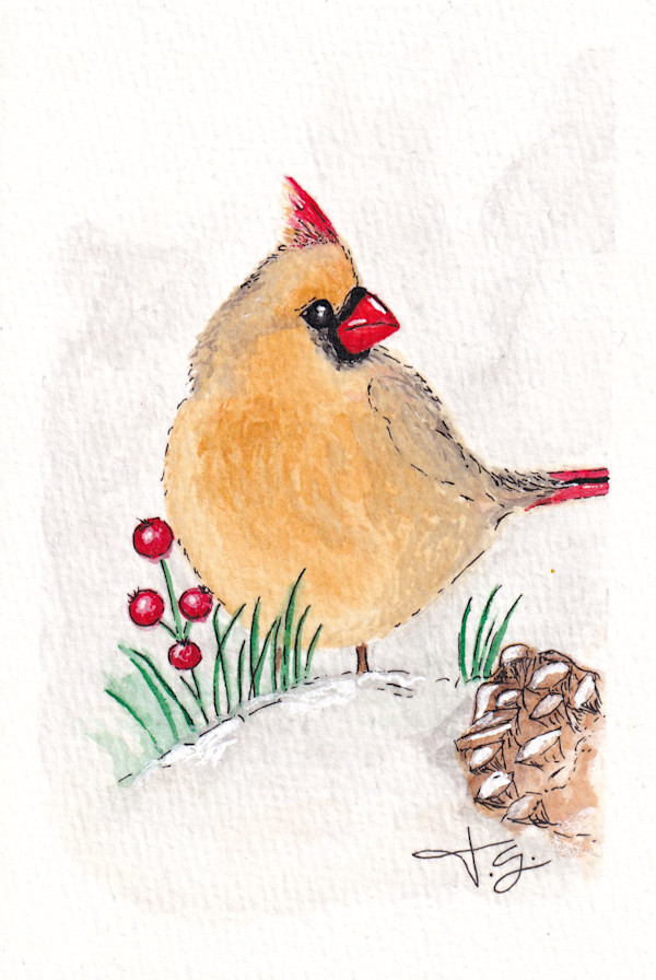 Female Cardinal in Snow by Tonya Schorre