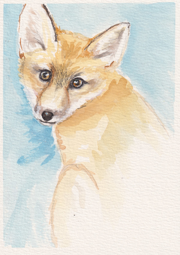 Fox 1 by Tonya Schorre
