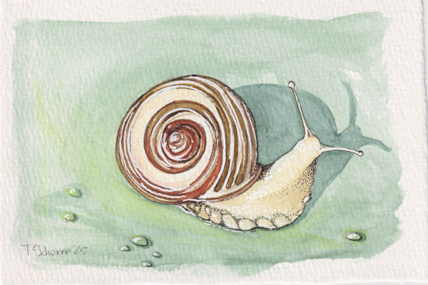Gerald the Snail by Tonya Schorre