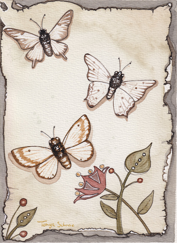 Little White Moths by Tonya Schorre