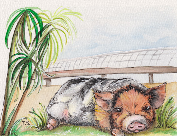 Made in the Shade by Tonya Schorre