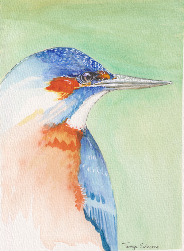 Kingfisher by Tonya Schorre