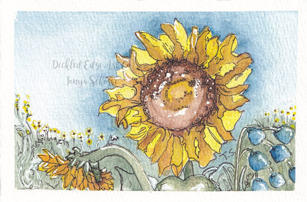In the Sun by Tonya Schorre