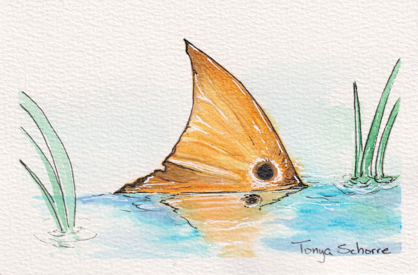 Tailing Redfish by Tonya Schorre