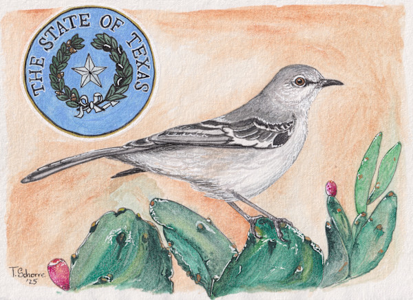 The Northern Mockingbird by Tonya Schorre