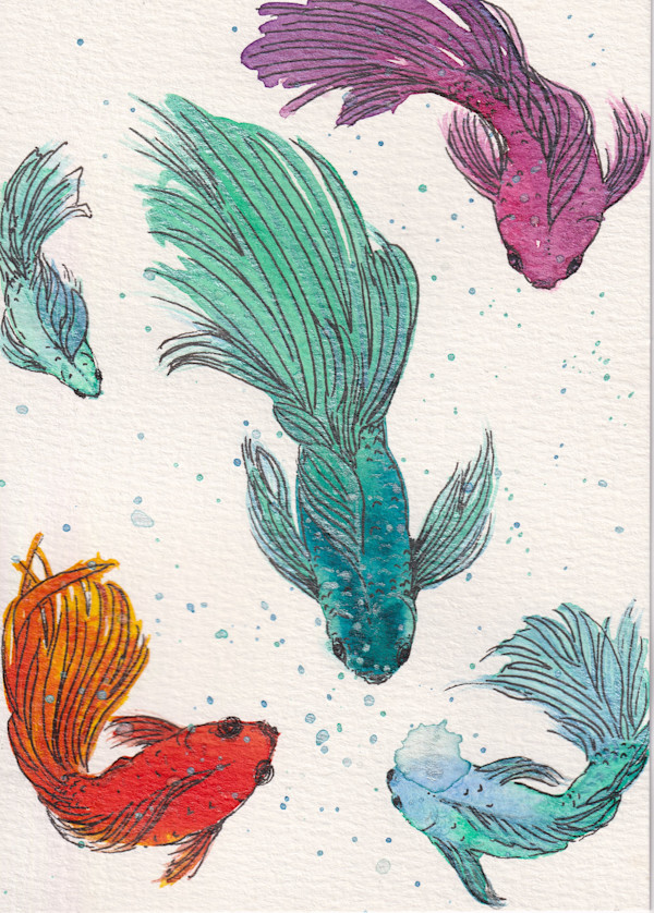 Colorful Koi Fish by Tonya Schorre