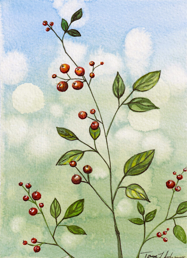 Redberry Bush by Tonya Schorre, Image 1.