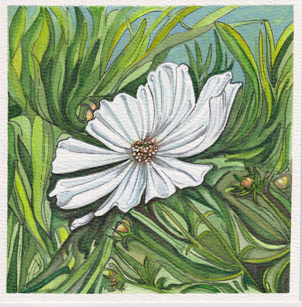 White Flower by Tonya Schorre, Image 1.