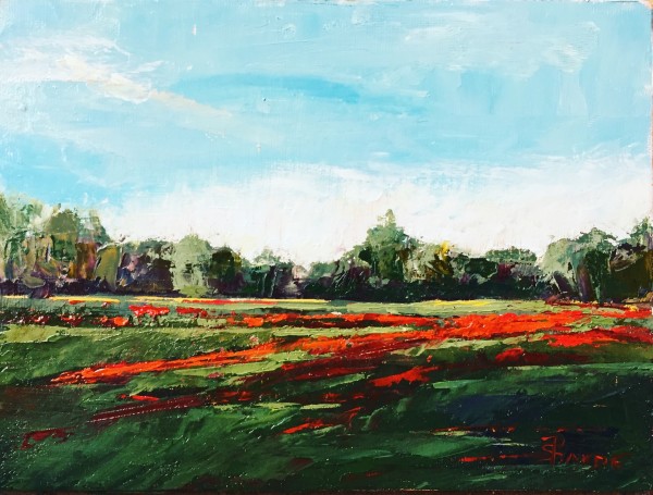 Poppy Field by Phyllis Sharpe