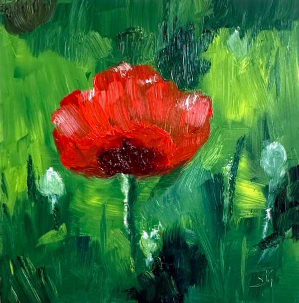 A Poppy by Phyllis Sharpe