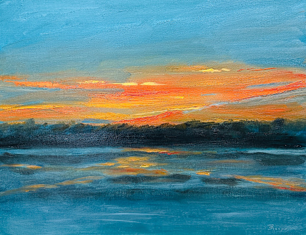 Before the Light Disappears by Phyllis Sharpe