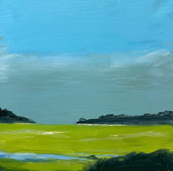 Edisto Awaking by Phyllis Sharpe