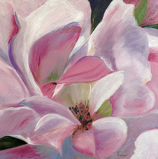 Evolving Pink by Phyllis Sharpe