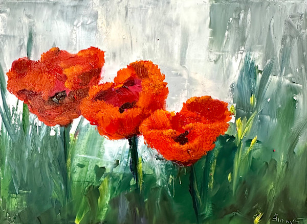Kind Poppies by Phyllis Sharpe