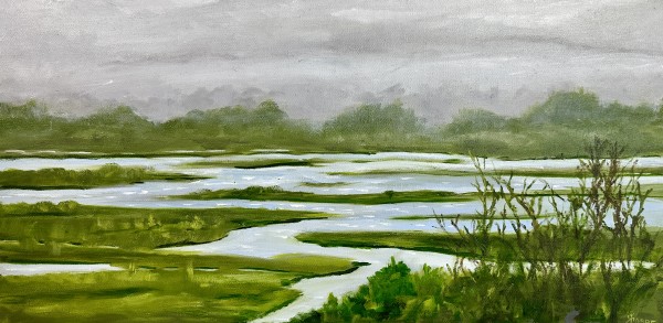Edisto Marsh by Phyllis Sharpe