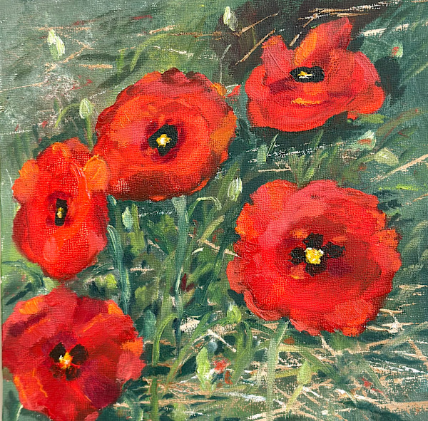 Five Poppies by Phyllis Sharpe