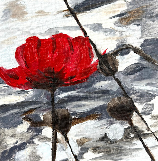 Ground Poppy by Phyllis Sharpe