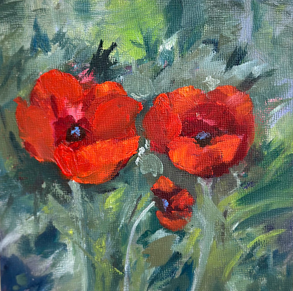 Definitely Poppies by Phyllis Sharpe