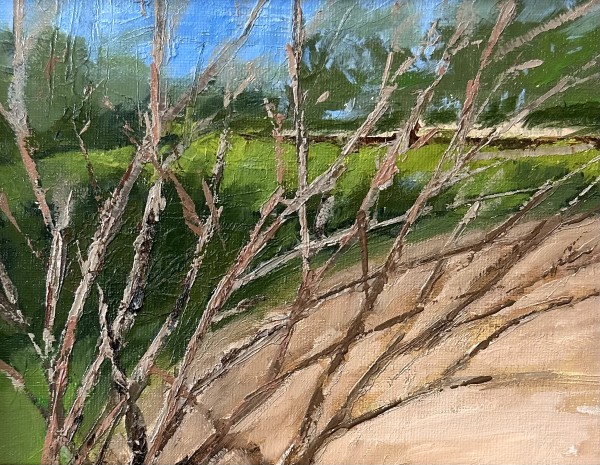 Crepe Myrtle View by Phyllis Sharpe