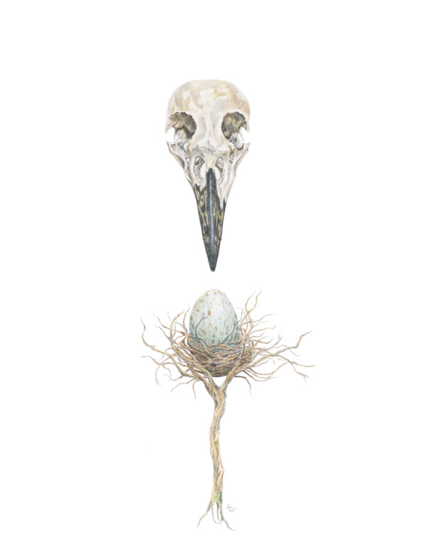 Hatching Mortality by Susan K. Theroff