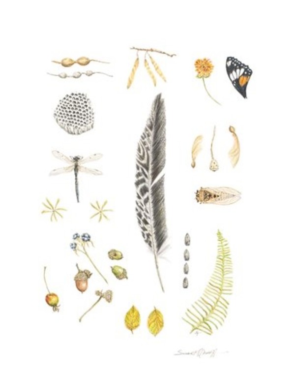 Nature Collected #29 by Susan K. Theroff