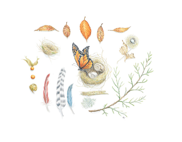 Nature Collected #33 by Susan K. Theroff