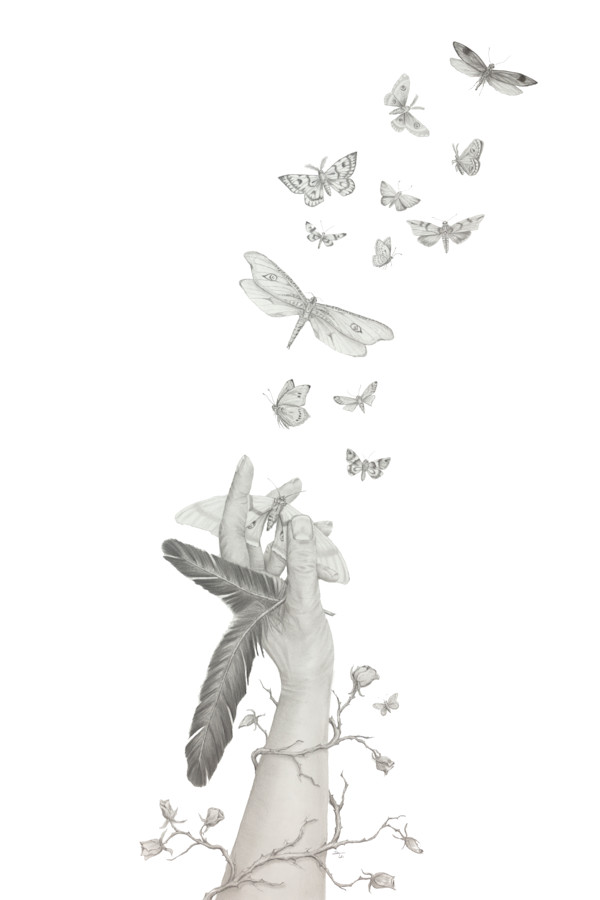 Catching Truth by Susan K. Theroff