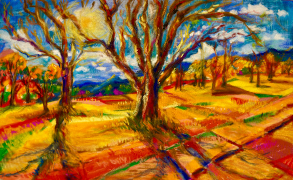 Colorado Cottonwoods