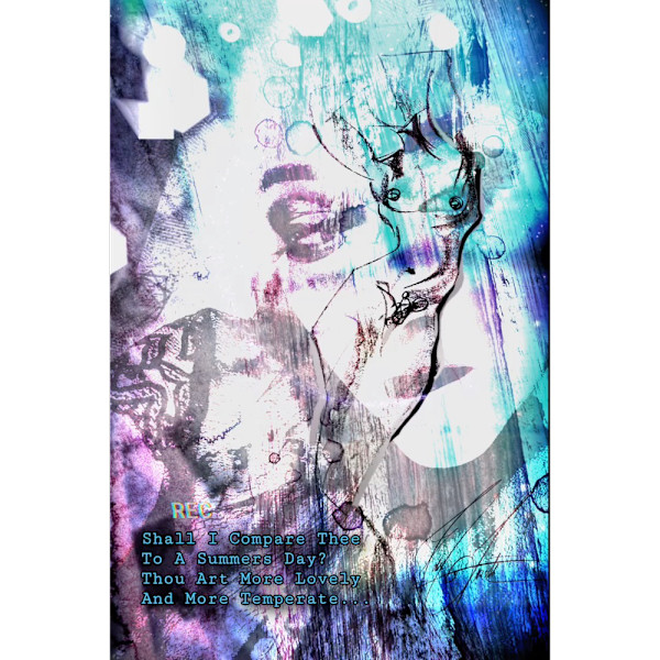 Beyond Compare by Robbi Firestone, Image 3.