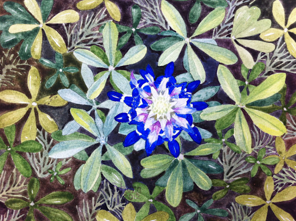 Bluebonnets (Bird's Eye View) by Betsy Horn