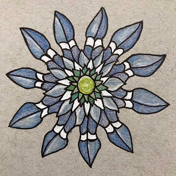 Bluebonnet, Bird's Eye View by Betsy Horn