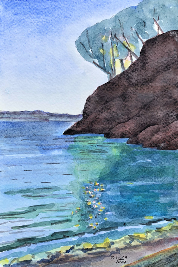 Smugglers Cove San Juan Island (Teal) by Betsy Horn