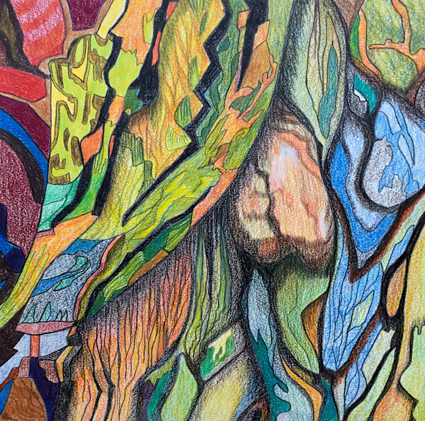 Shuttered (Scrub Oak) by Betsy Horn