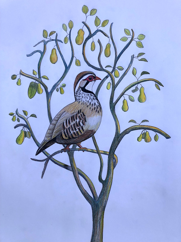 Partridge in a Pear Tree by Betsy Horn