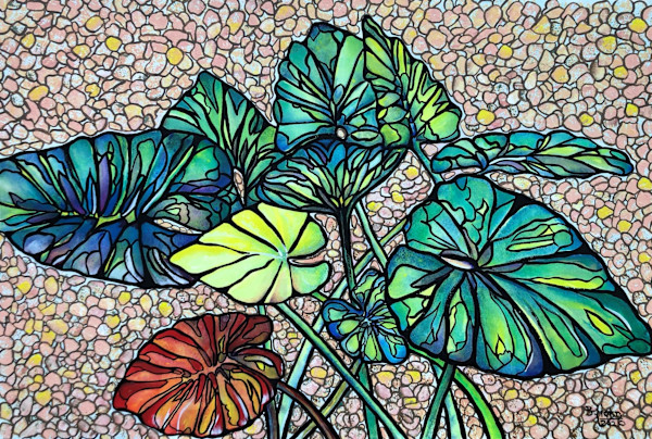 Upright Caladiums by Betsy Horn