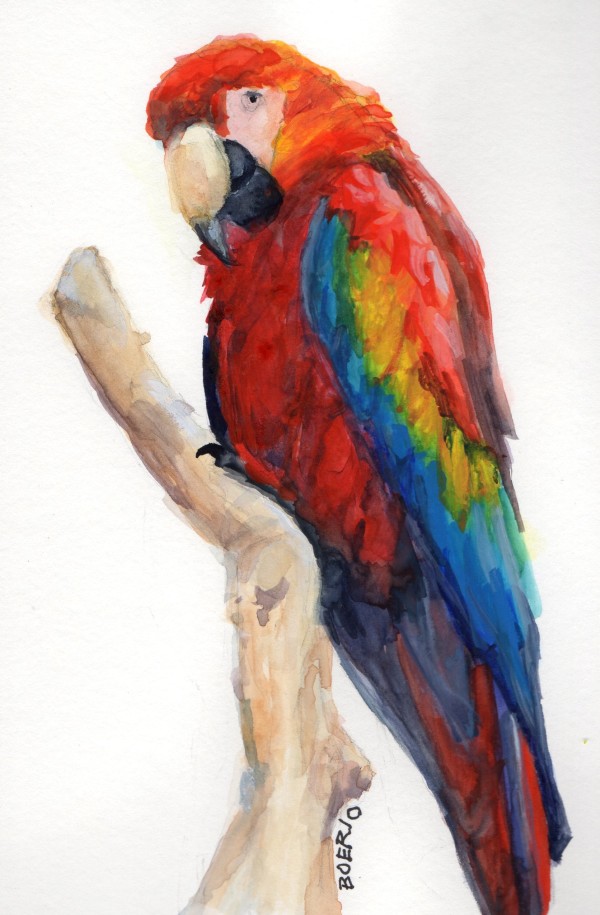 Portrait of a macaw (6x9" watercolor) by Carrie Lacey Boerio