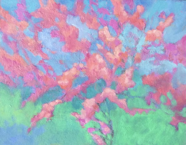 Radiant apple blossoms, en plein air (11x14") by Carrie Lacey Boerio