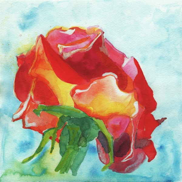 Boldest Rose, plein air (8x8 inches) by Carrie Lacey Boerio