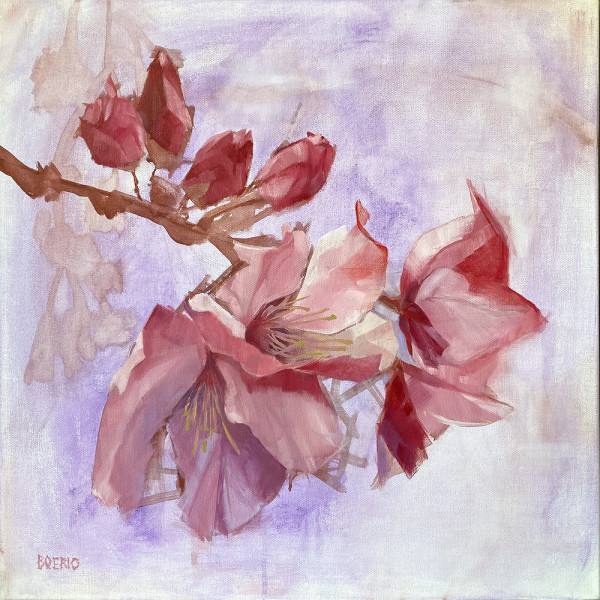 Early Spring Cherry Blossoms by Carrie Lacey Boerio