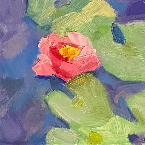 Water Lily Study v1 by Carrie Lacey Boerio, Image 1.