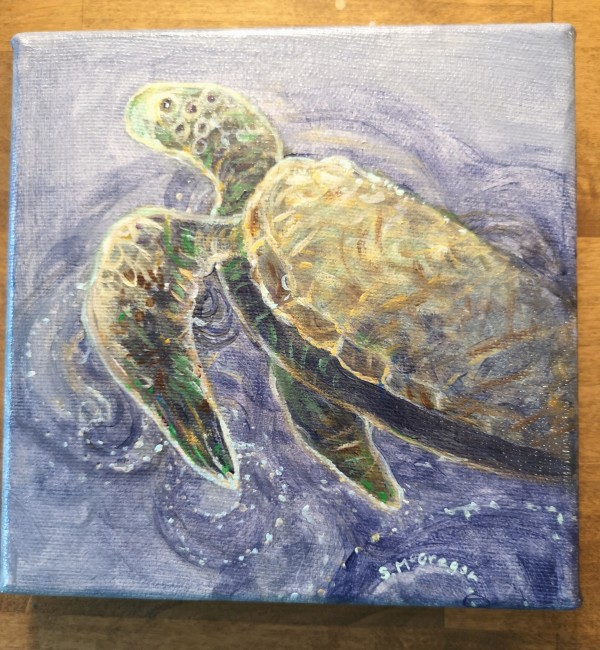 Turtle Sees by Stephanie McGregor